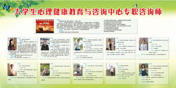 大學(xué)生心理健康教育與咨詢中心專職咨詢師